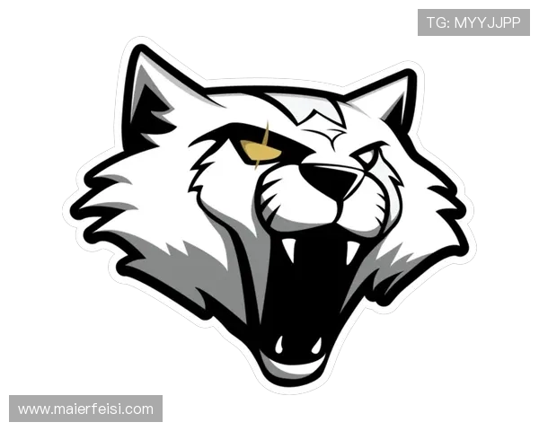 CSGO力量排行榜更新JDG战队荣登第七名引发热议 CSGO力量排行榜更新JDG战队荣登第七名引发热议