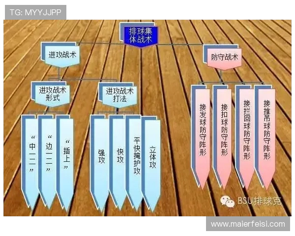 杭州排球队中路突破的战术解析与未来发展展望