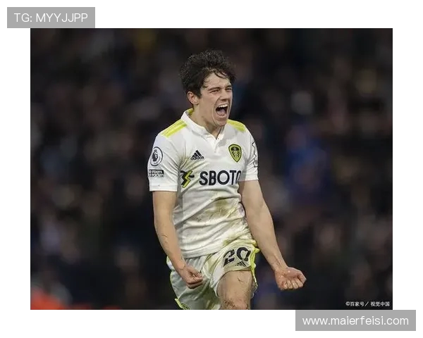 埃弗顿与利兹联对决分析及双方近期状态评估